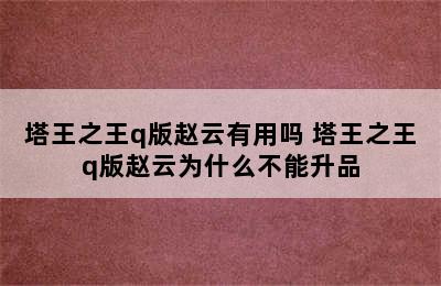 塔王之王q版赵云有用吗 塔王之王q版赵云为什么不能升品